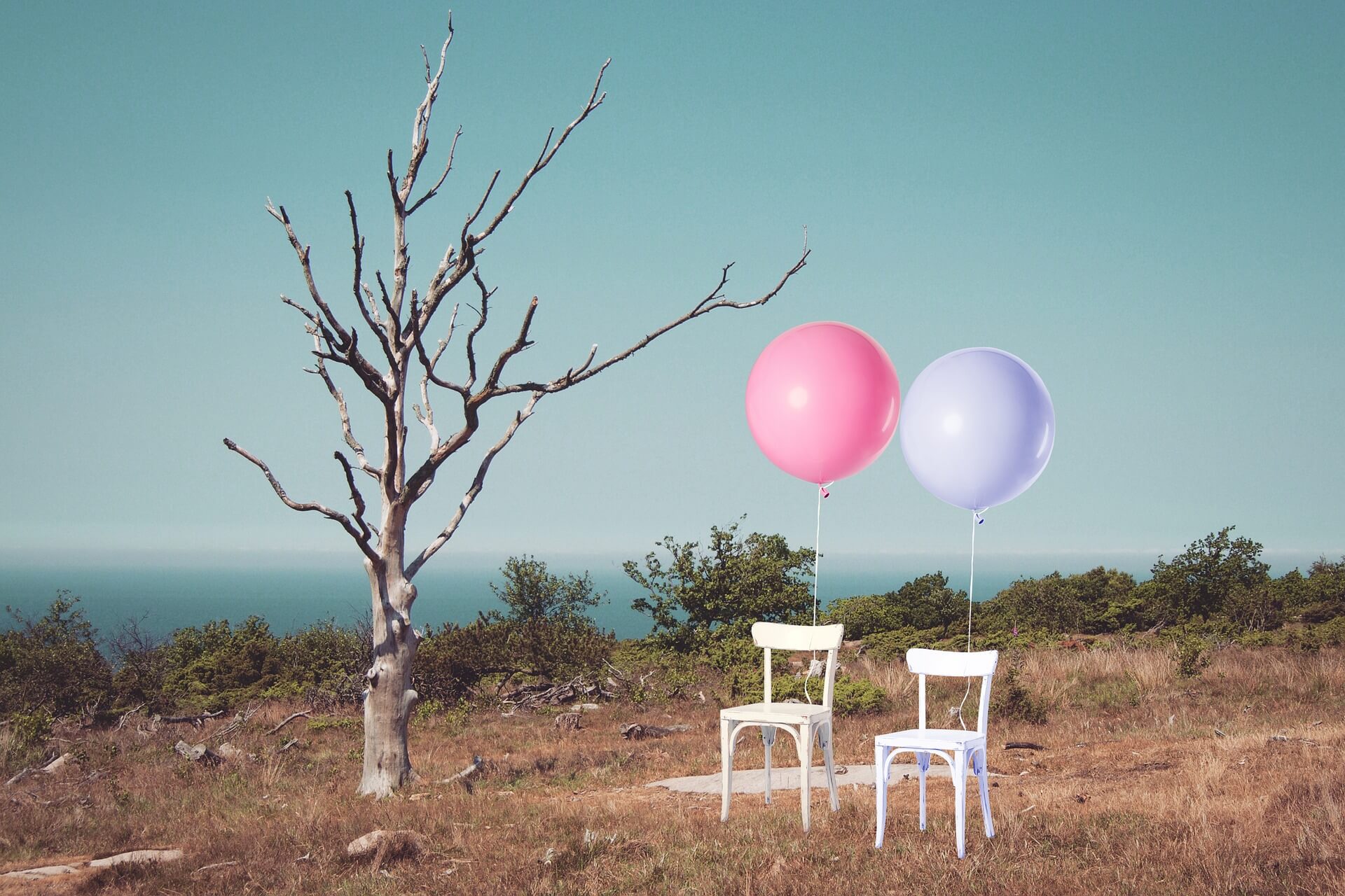 Kahler baum mit Stühlen an Lufballons