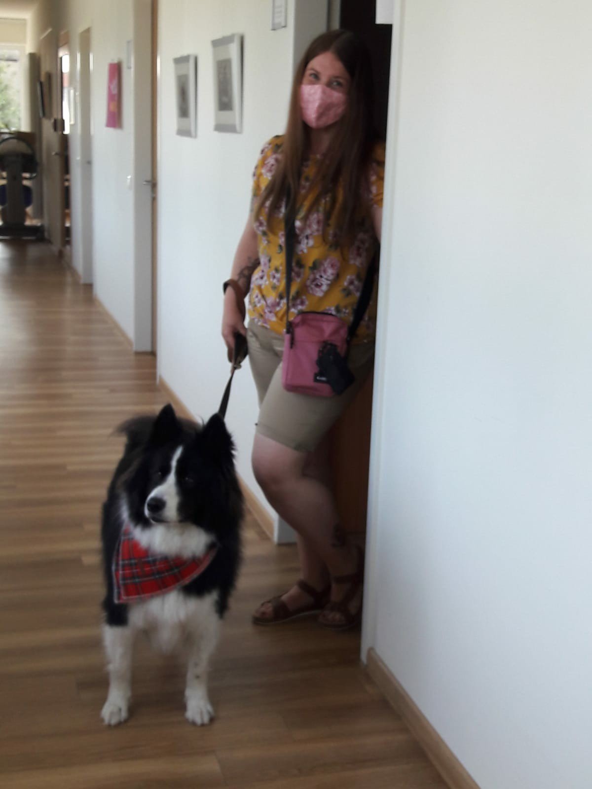 hunde streicheln herzen
